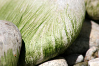 Mossy Rock
