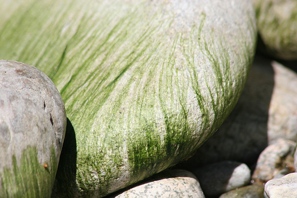 Mossy Rock