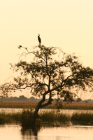 Zambia ~ May 2009